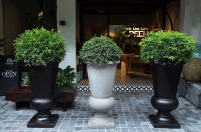 CHẬU TRỒNG CÂY
