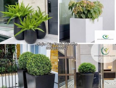 Chậu Composite Là Gì? Những Lí Do Nên Chọn Chậu Composite  