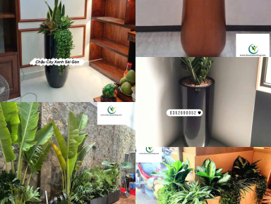 Chậu Composite, Chậu Hoa Composite, Chậu Trồng Cây Composite, Xưởng Sản Xuất Chậu Composite Trực Tiếp