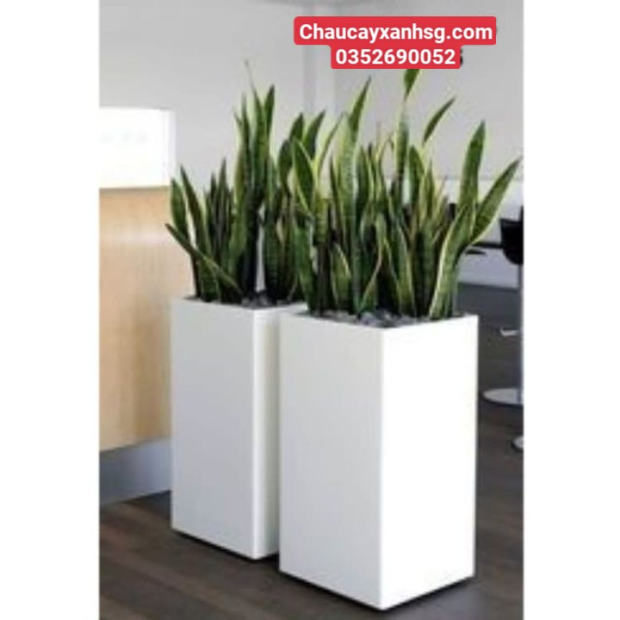 Chậu xi măng ống vuông 25×50