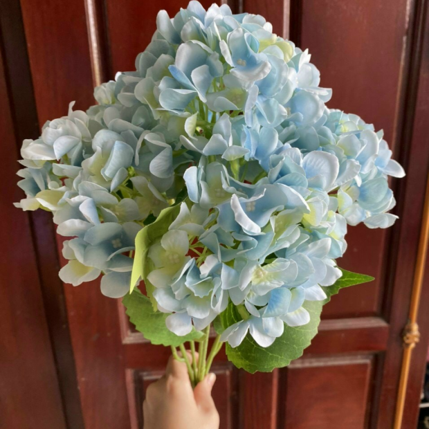 Hoa cẩm tú cầu giả