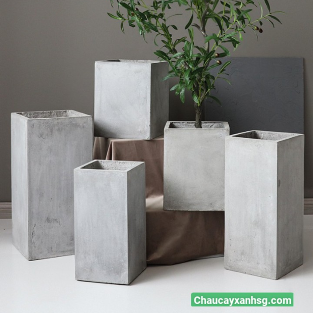 Chậu xi măng trụ vuông