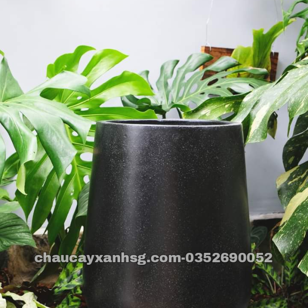 Chậu trồng cây đá mài giọt nước 30×50