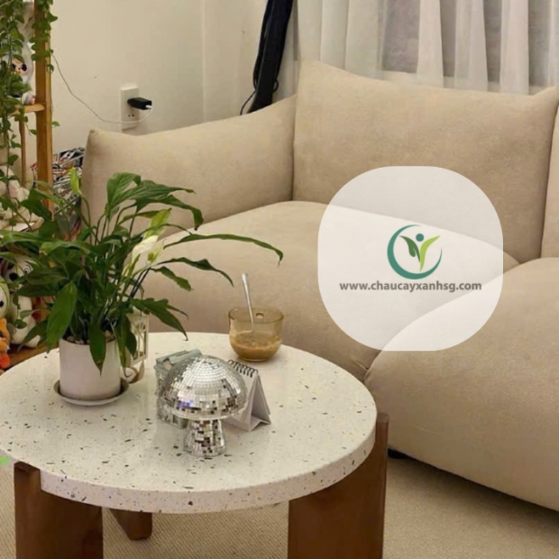 Bàn Sofa Chân Gỗ Mặt Đá Terrazzo