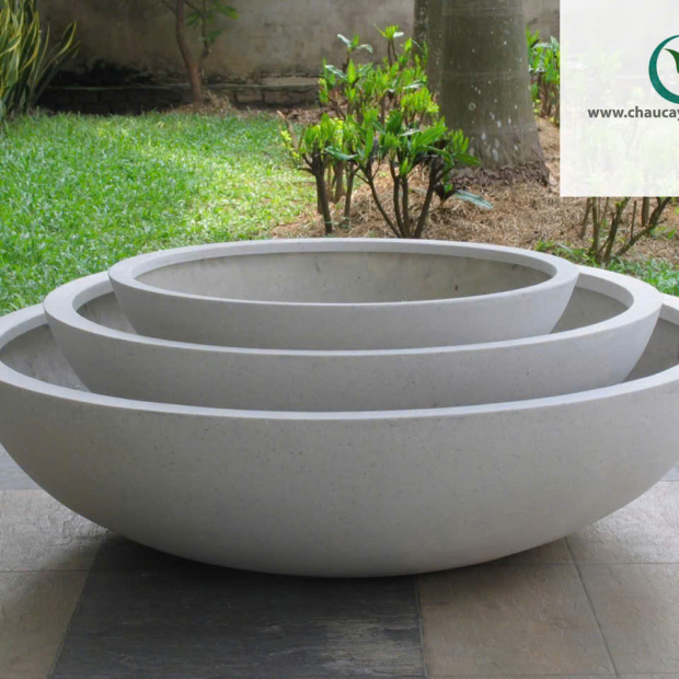 Bán Chậu Trồng Sen Composite Đẹp