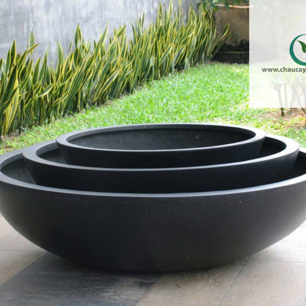 Bán Chậu Trồng Sen Composite Đẹp