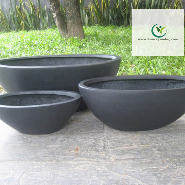 Bán Chậu Trồng Sen Composite Đẹp