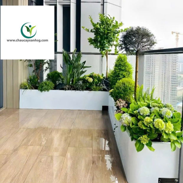 Sản Xuất Chậu Composite Theo Yêu Cầu Cho Ban Công, Sân Vườn