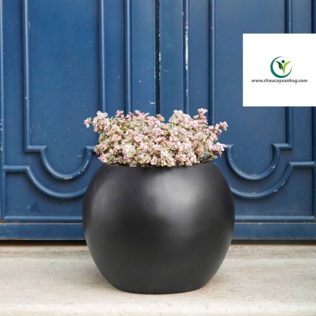 Chậu Nhựa Composite Đa Dạng Mẫu Mã, Size Lớn Nhỏ Giá Rẻ