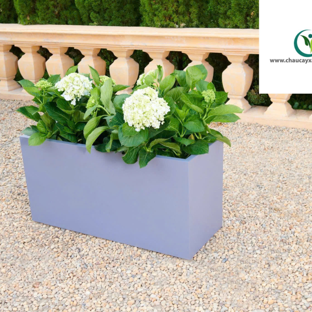 Chậu Nhựa Composite Đa Dạng Mẫu Mã, Size Lớn Nhỏ Giá Rẻ