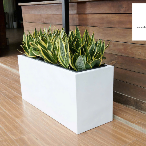 Chậu Nhựa Composite Đa Dạng Mẫu Mã, Size Lớn Nhỏ Giá Rẻ