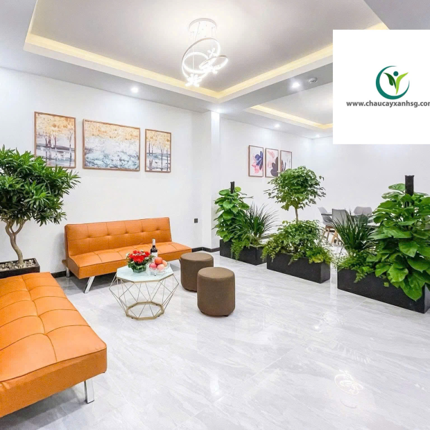 ​  Thiết Kế, Thi Công Trồng Cây Xanh, Chậu Cây Xanh Cho Sân Vườn, Ban Công  ​