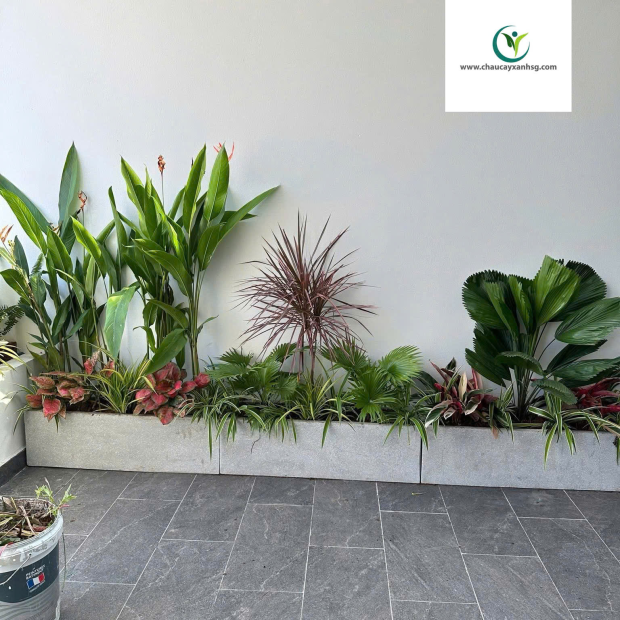 ​  Thiết Kế, Thi Công Trồng Cây Xanh, Chậu Cây Xanh Cho Sân Vườn, Ban Công  ​