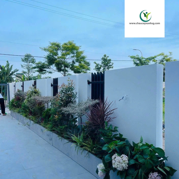 ​  Thiết Kế, Thi Công Trồng Cây Xanh, Chậu Cây Xanh Cho Sân Vườn, Ban Công  ​
