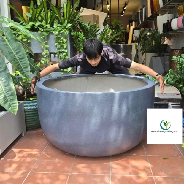 Chậu Nuôi Cá, Bể Cá Composite, Chậu Trồng Sen Composite Hình Chảo