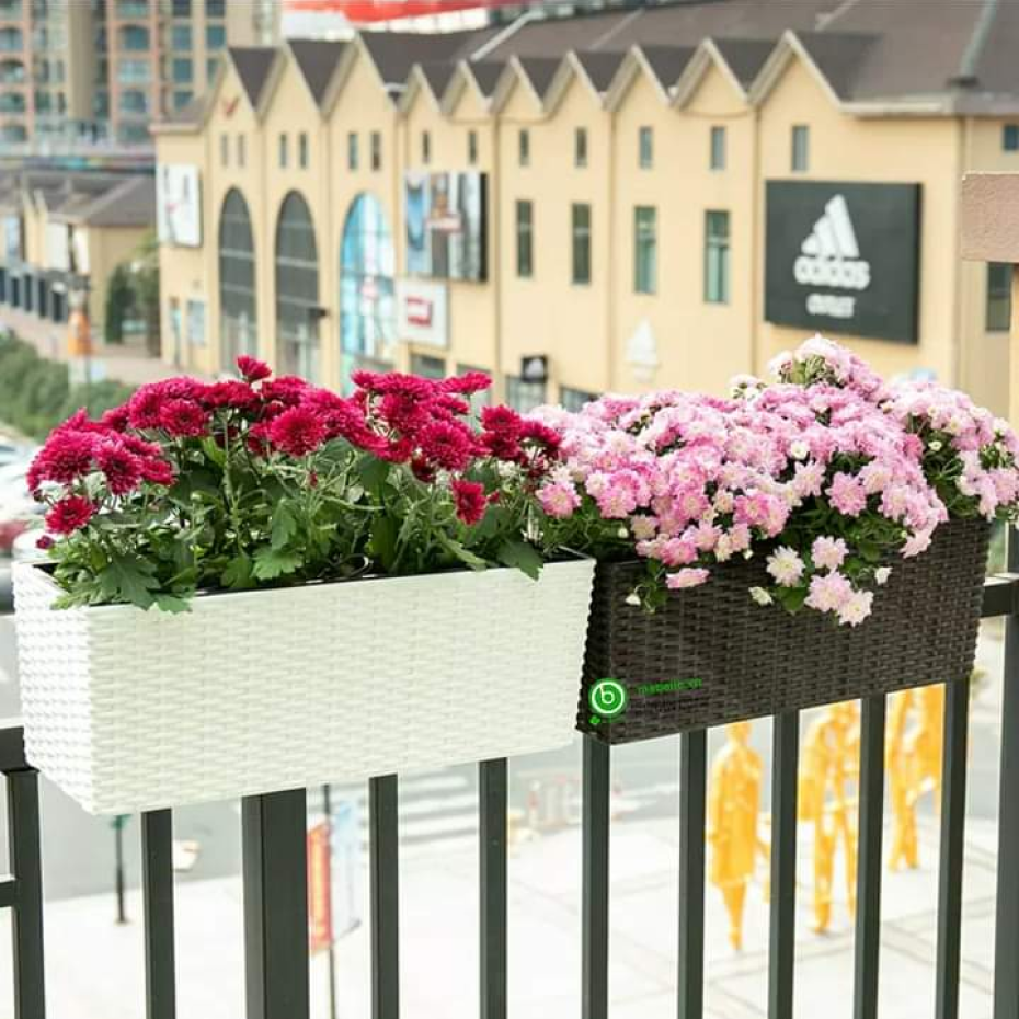 Chậu treo cây chữ nhật