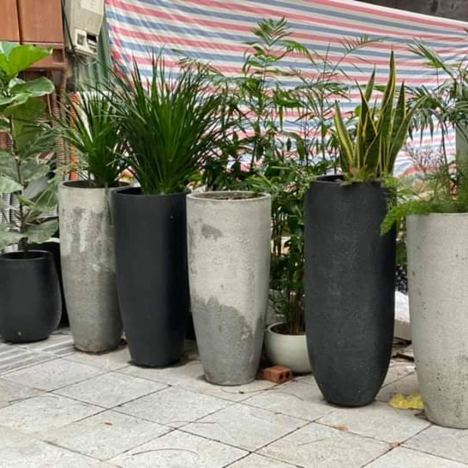 Chậu xi măng hình ly giá rẻ tại TP.HCM