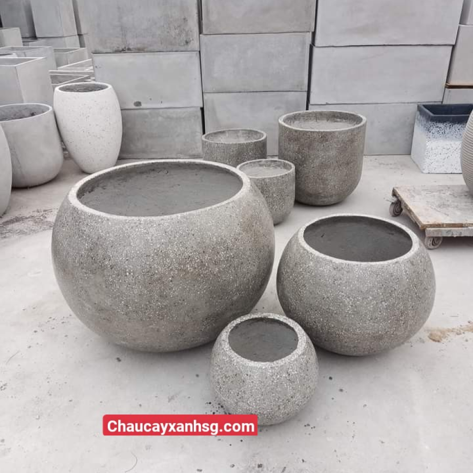Chậu xi măng gáo dừa trồng cây