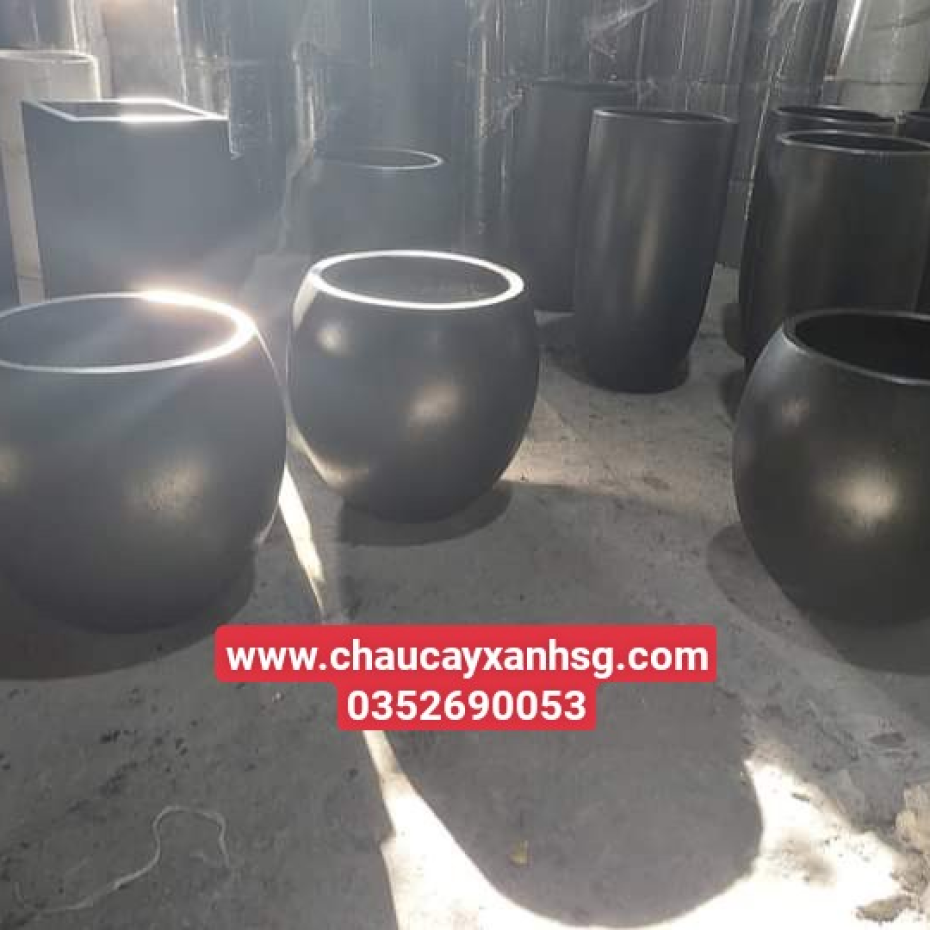 Chậu xi măng gáo dừa trồng cây