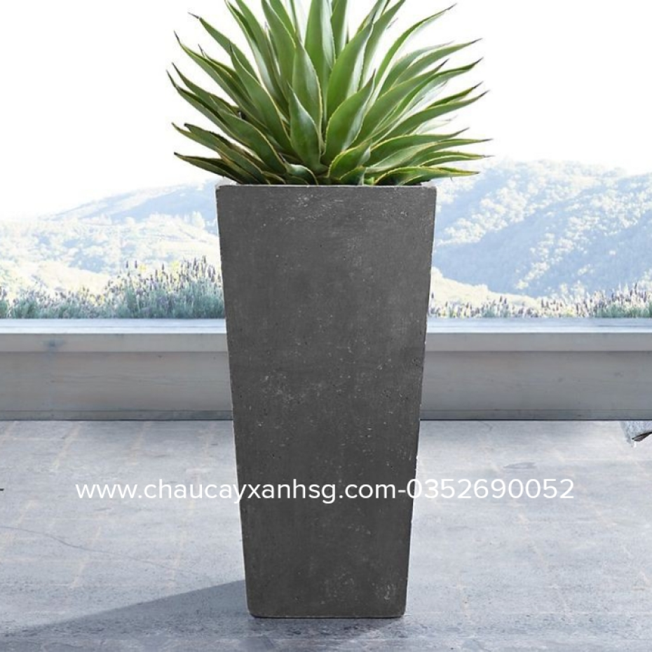 Chậu xi măng hình thang giá rẻ từ 160,000 VNĐ
