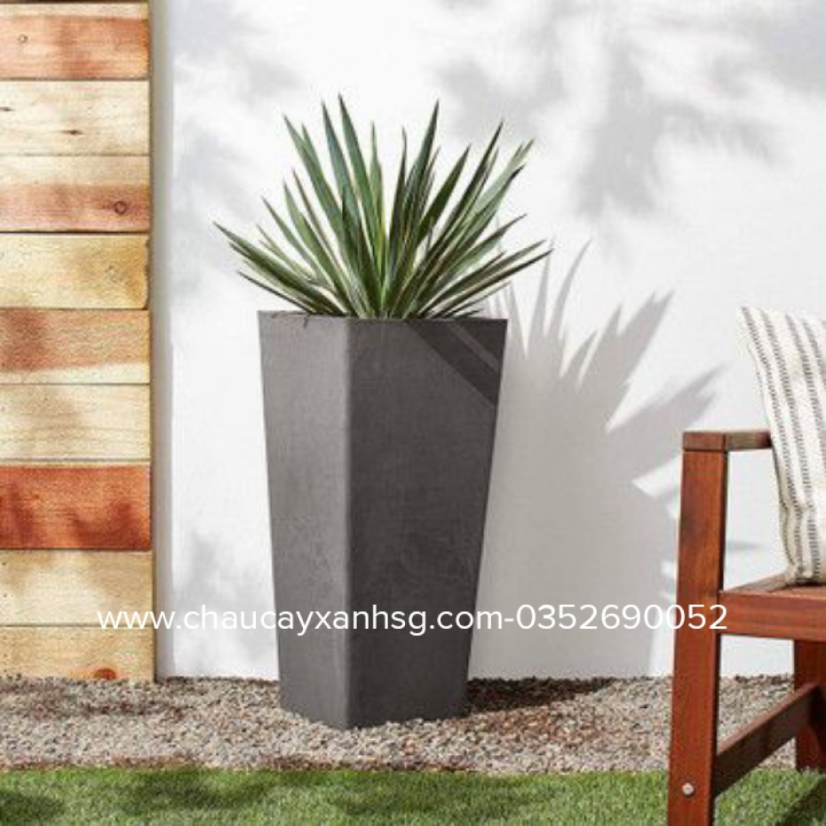 Chậu xi măng hình thang giá rẻ từ 160,000 VNĐ