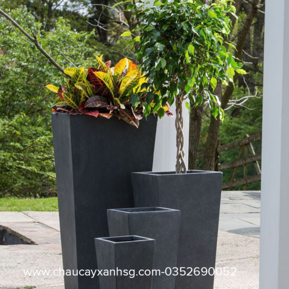 Chậu xi măng hình thang giá rẻ từ 160,000 VNĐ