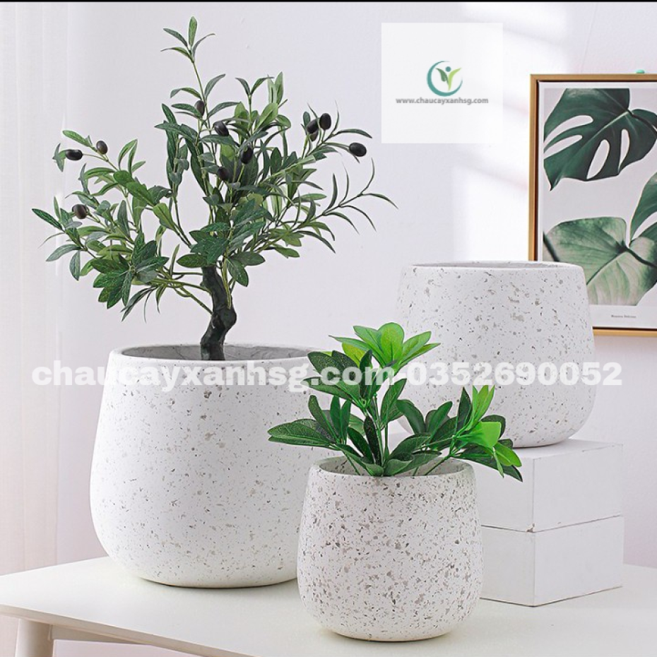 Chậu đá mài trắng hình thúng