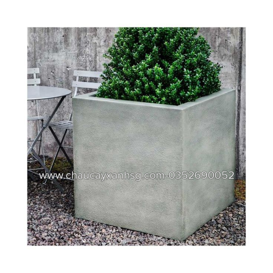 Tổng hợp các mẫu chậu xi măng trồng cây hình vuông đẹp giá rẻ