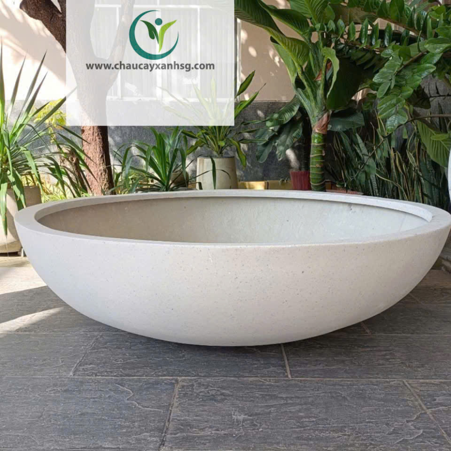 Bán Chậu Trồng Sen Composite Đẹp