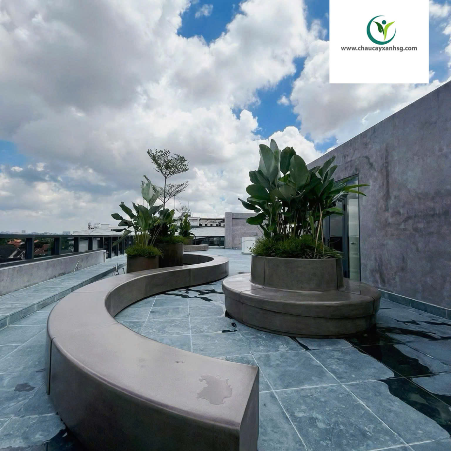 Thi Công Ghế Ngồi Bê Tông Đá Mài Terrazzo Theo Yêu Cầu
