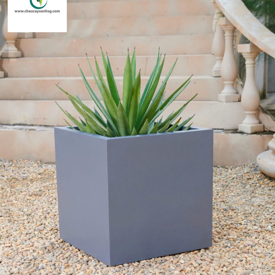 Chậu Nhựa Composite Đa Dạng Mẫu Mã, Size Lớn Nhỏ Giá Rẻ