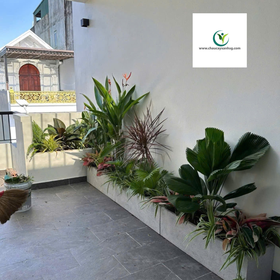 ​  Thiết Kế, Thi Công Trồng Cây Xanh, Chậu Cây Xanh Cho Sân Vườn, Ban Công  ​
