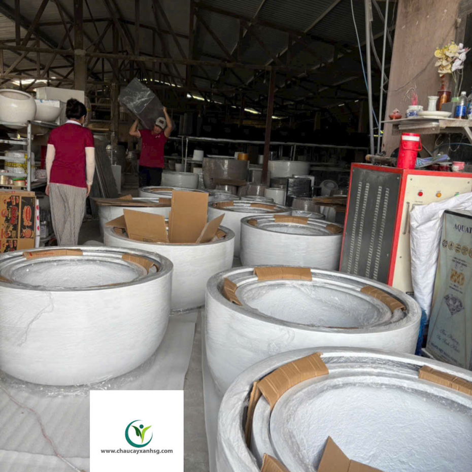 Chậu Nuôi Cá, Bể Cá Composite, Chậu Trồng Sen Composite Hình Chảo