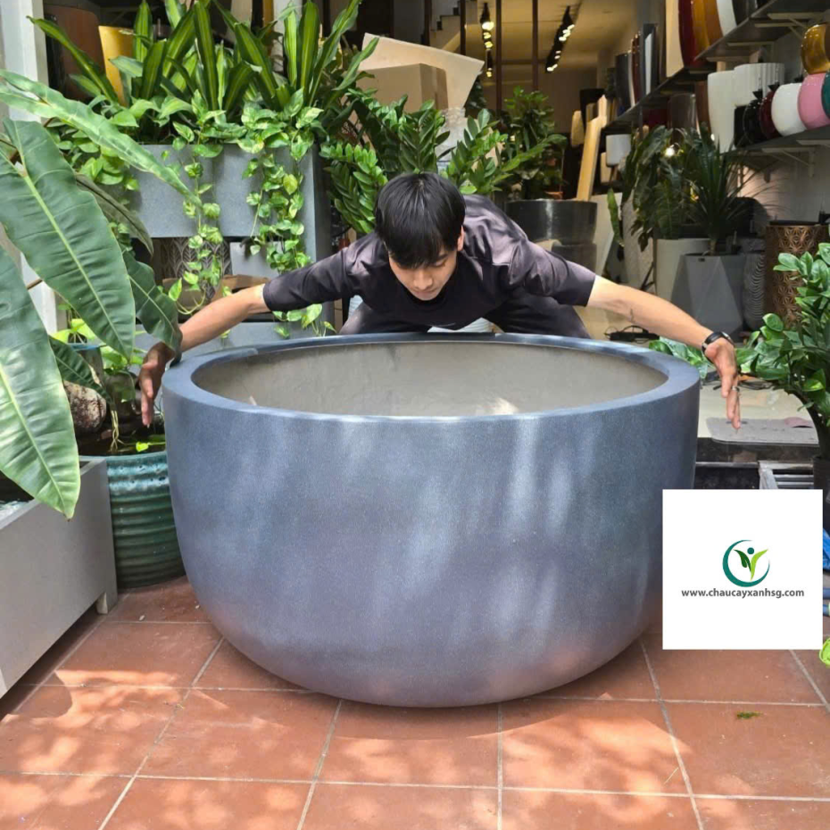 Chậu Nuôi Cá, Bể Cá Composite, Chậu Trồng Sen Composite Hình Chảo