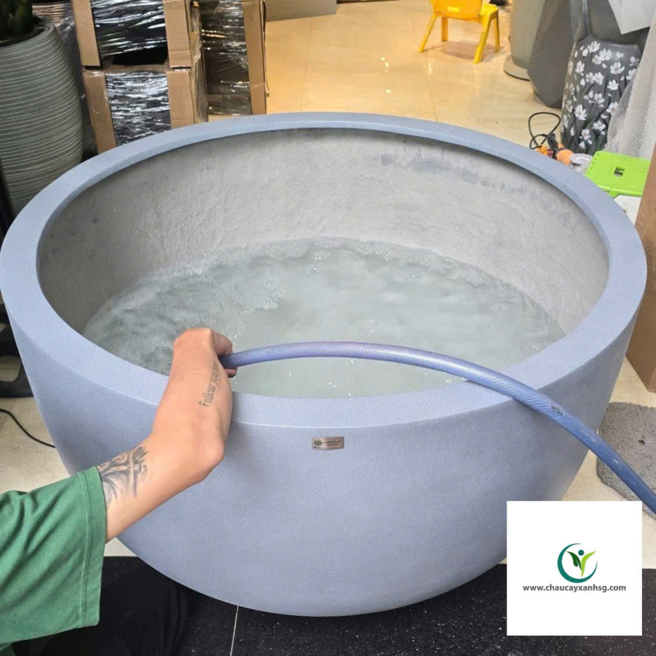 Chậu Nuôi Cá, Bể Cá Composite, Chậu Trồng Sen Composite Hình Chảo