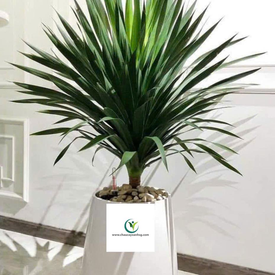 Chậu Composite Tự Dưỡng Hình Giọt Nước