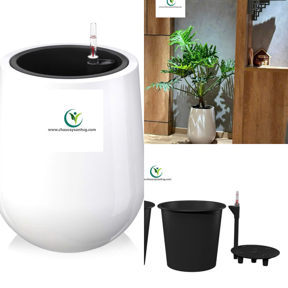 Chậu Composite Tự Dưỡng Hình Giọt Nước