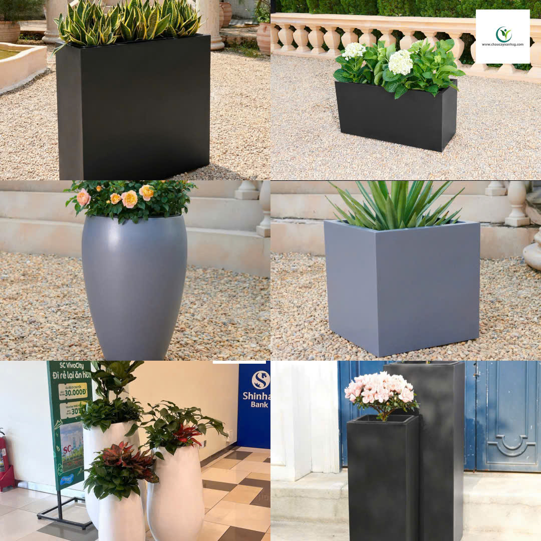 Chậu Cây Xanh Sài Gòn – Địa Chỉ Cung Cấp Chậu Composite Chất Lượng Cho Mọi Công Trình