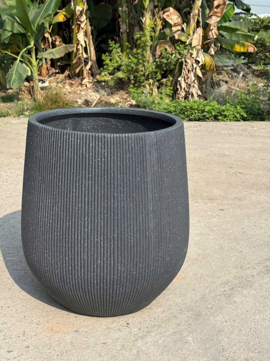 Khám Phá Hệ Sinh Thái Sản Phẩm Tại Chaucayxanhsg.com 