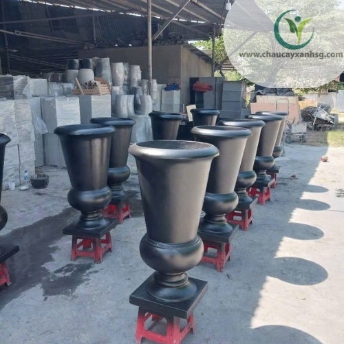 Khám Phá Hệ Sinh Thái Sản Phẩm Tại Chaucayxanhsg.com 