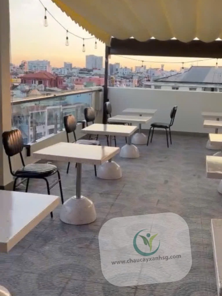 Vì Sao Chaucayxanhsg.com Được Nhiều Kiến Trúc Sư Và Nhà Thầu Lựa Chọn?