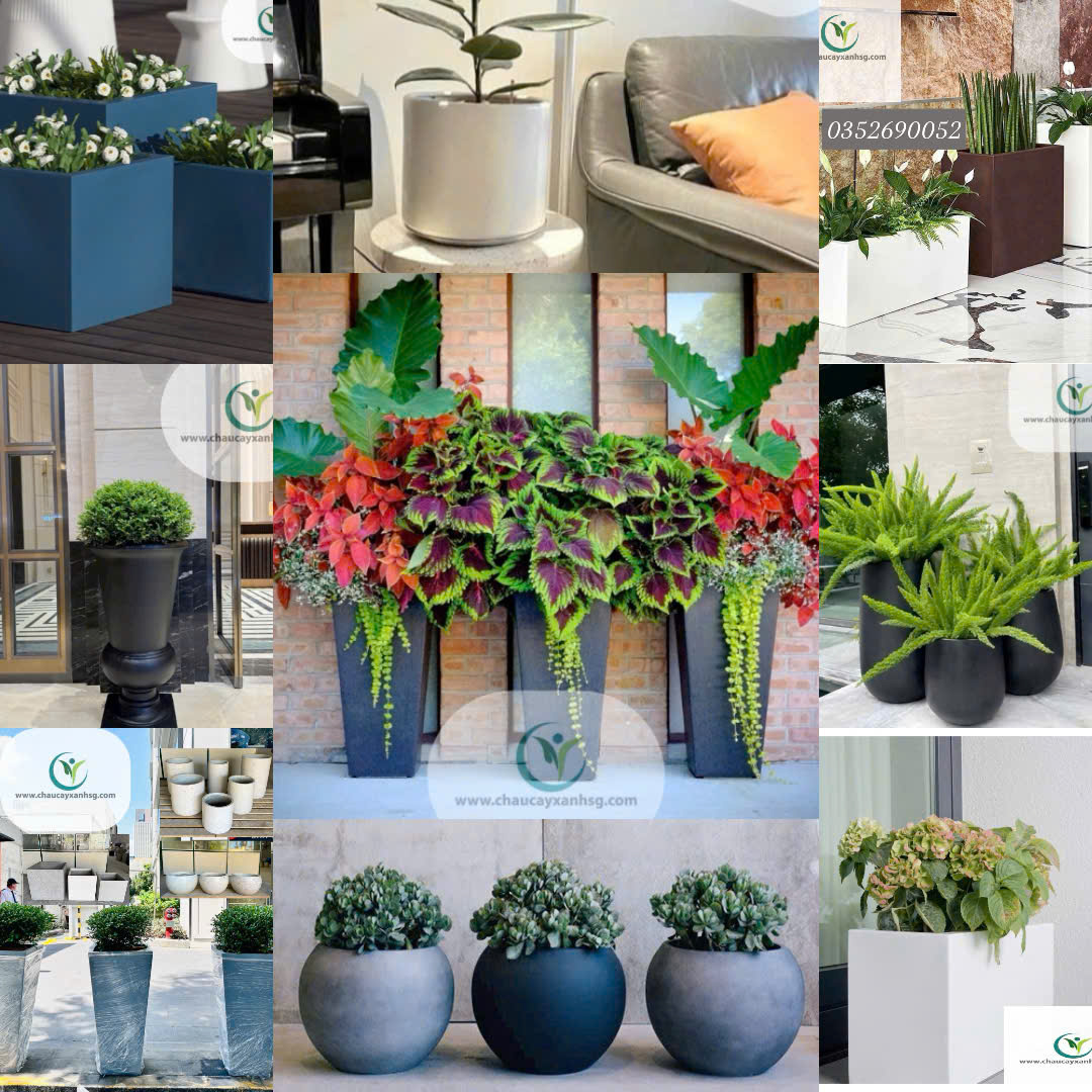 Chậu Cây Xanh Sài Gòn – Địa Chỉ Cung Cấp Chậu Composite Chất Lượng Cho Mọi Công Trình