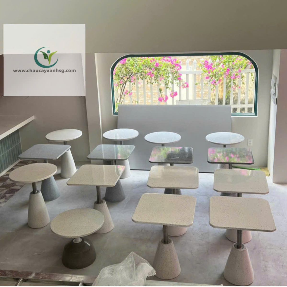 bàn cà phê tại chaucayxanhsg.com