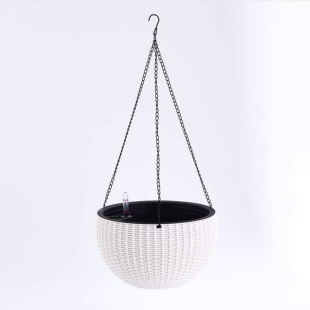 Chậu treo cây đẹp giá rẻ
