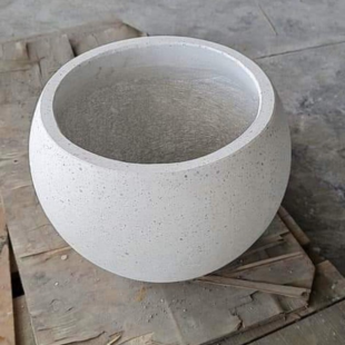 Chậu xi măng gáo dừa trồng cây
